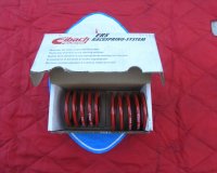 Barchetta: Fahrwerks-Federn Eibach VA-HA